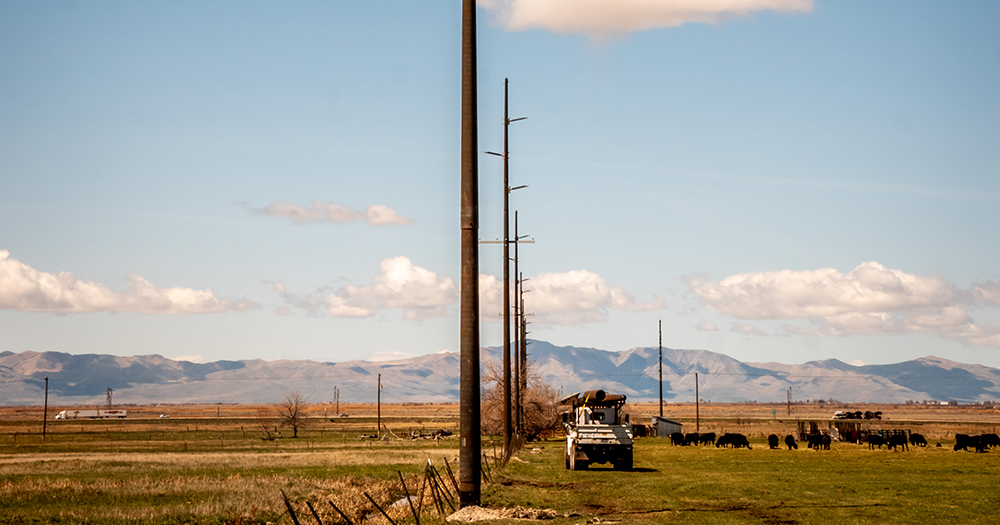Why Regular Utility Pole Maintenance Is Important