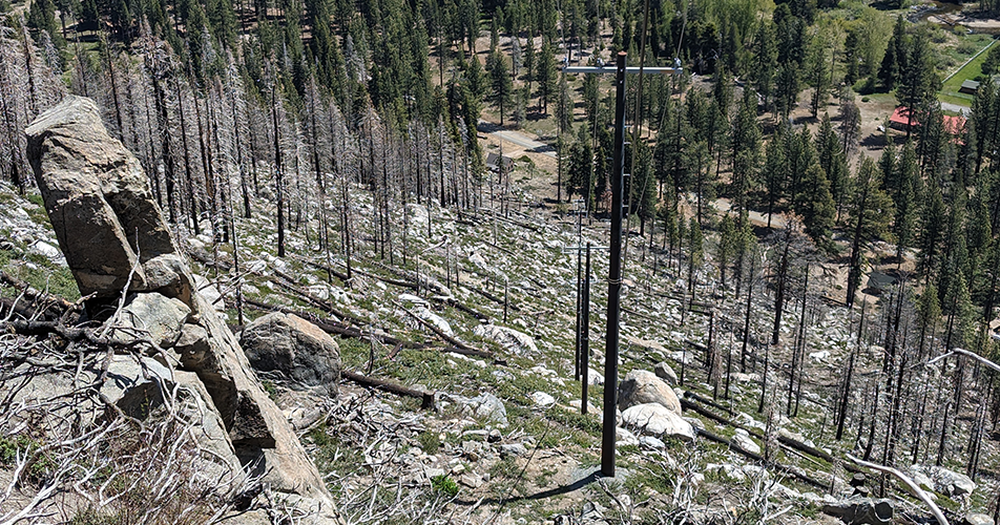 Addressing 5 Common Causes of Utility Pole Failure