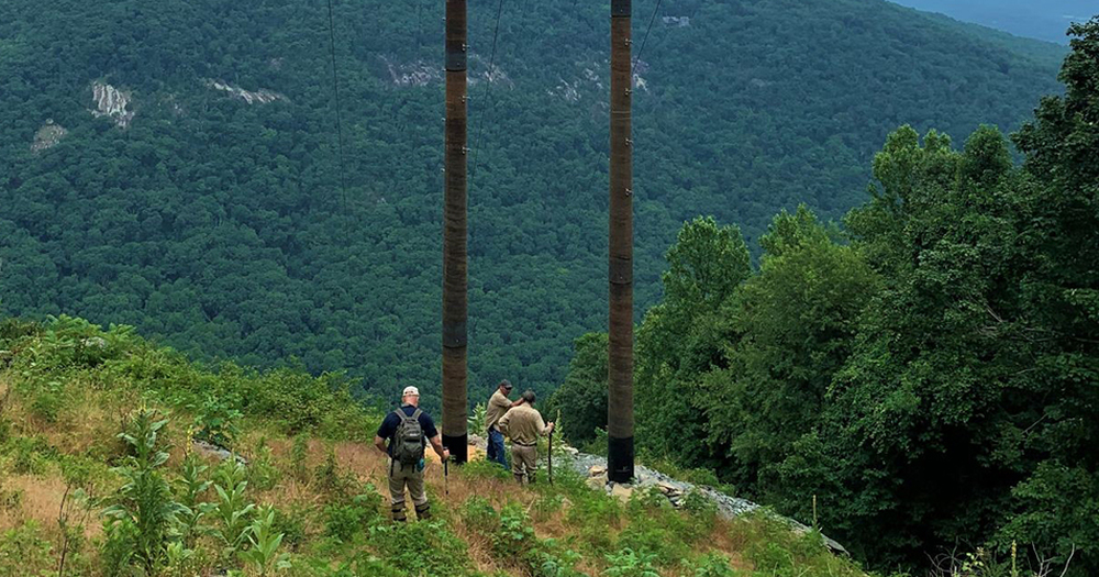 5 Steps for Inspecting a Utility Pole Safely