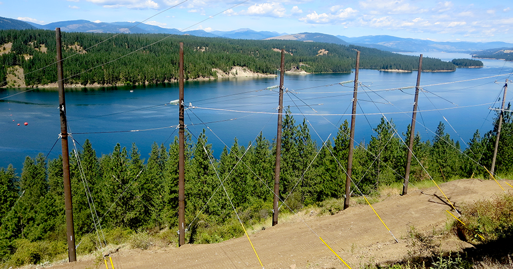The Complete History of Ductile Iron Poles